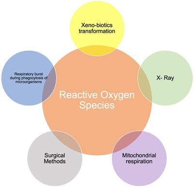 Bioactive Compounds in <mark class="highlighted">Edible Oils</mark> and Their Role in Oxidative Stress and Inflammation